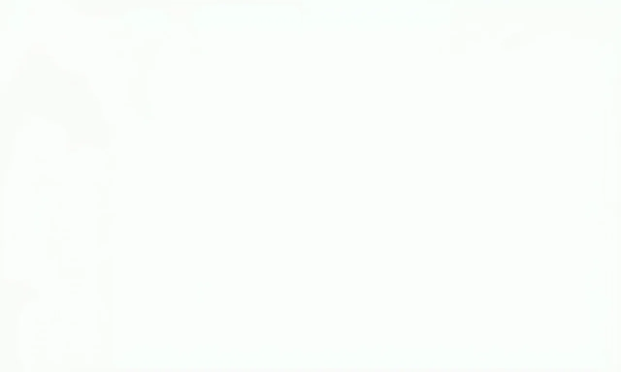 Planilha resumo mostrando como ter dois WhatsApp no celular.